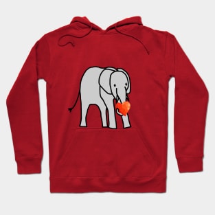 Baby Elephant with Love Heart on Valentines Day Hoodie